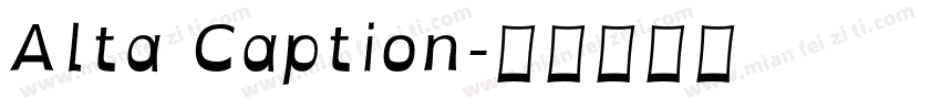 Alta Caption字体转换